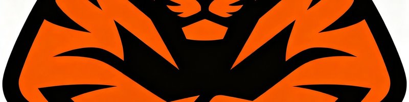 虎扑战略合作logo